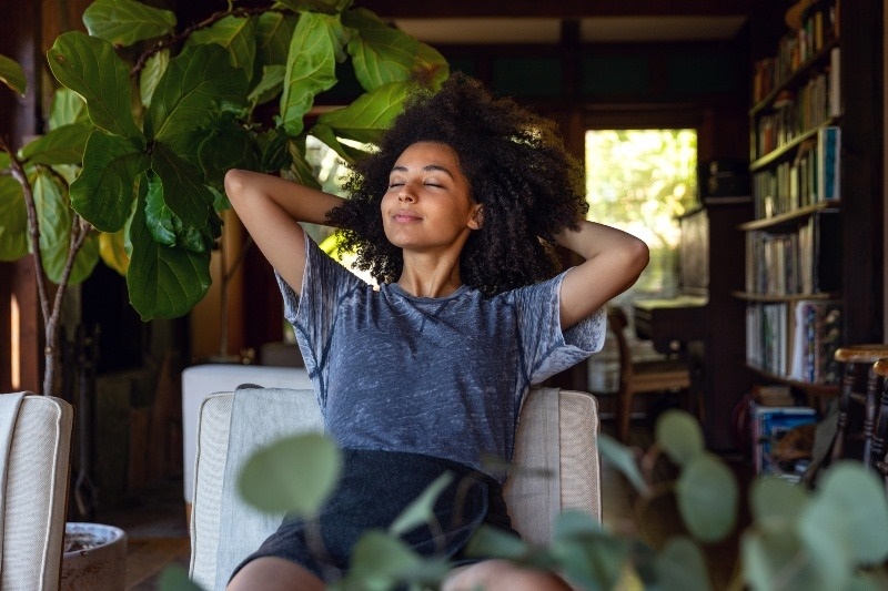Houseplants-Blog banner
