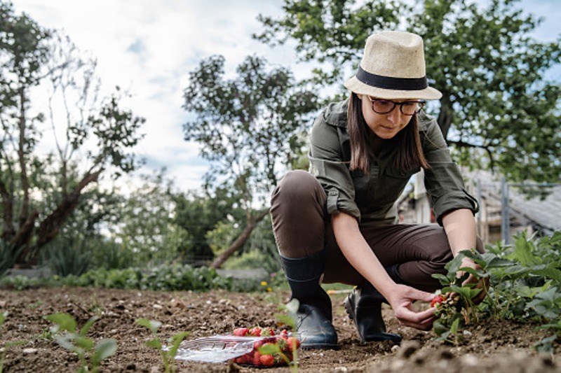 HouseplantsBlog_IMAGE Woman Gardening